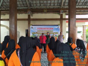 PEMANTUAN JENTIK BERKALA OLEH KADER JUMANTIK