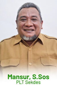 MANSUR_edt
