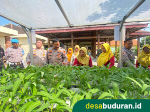 Kasiwas2